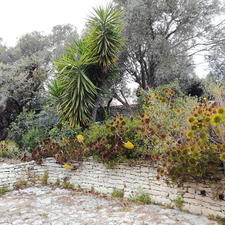 Bonifacio, Maison 90M² Sous Les Oliviers, Vue Sardaigne 博尼法乔 外观 照片