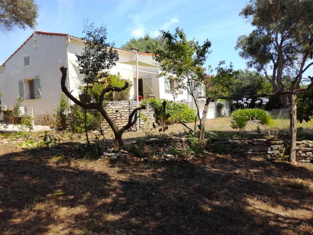Bonifacio, Maison 90M² Sous Les Oliviers, Vue Sardaigne 博尼法乔 外观 照片