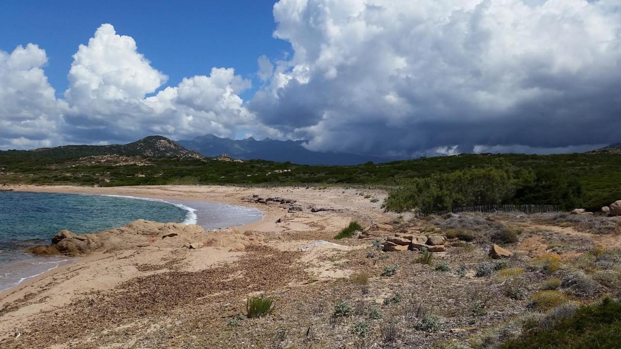 Bonifacio, Maison 90M² Sous Les Oliviers, Vue Sardaigne 博尼法乔 外观 照片