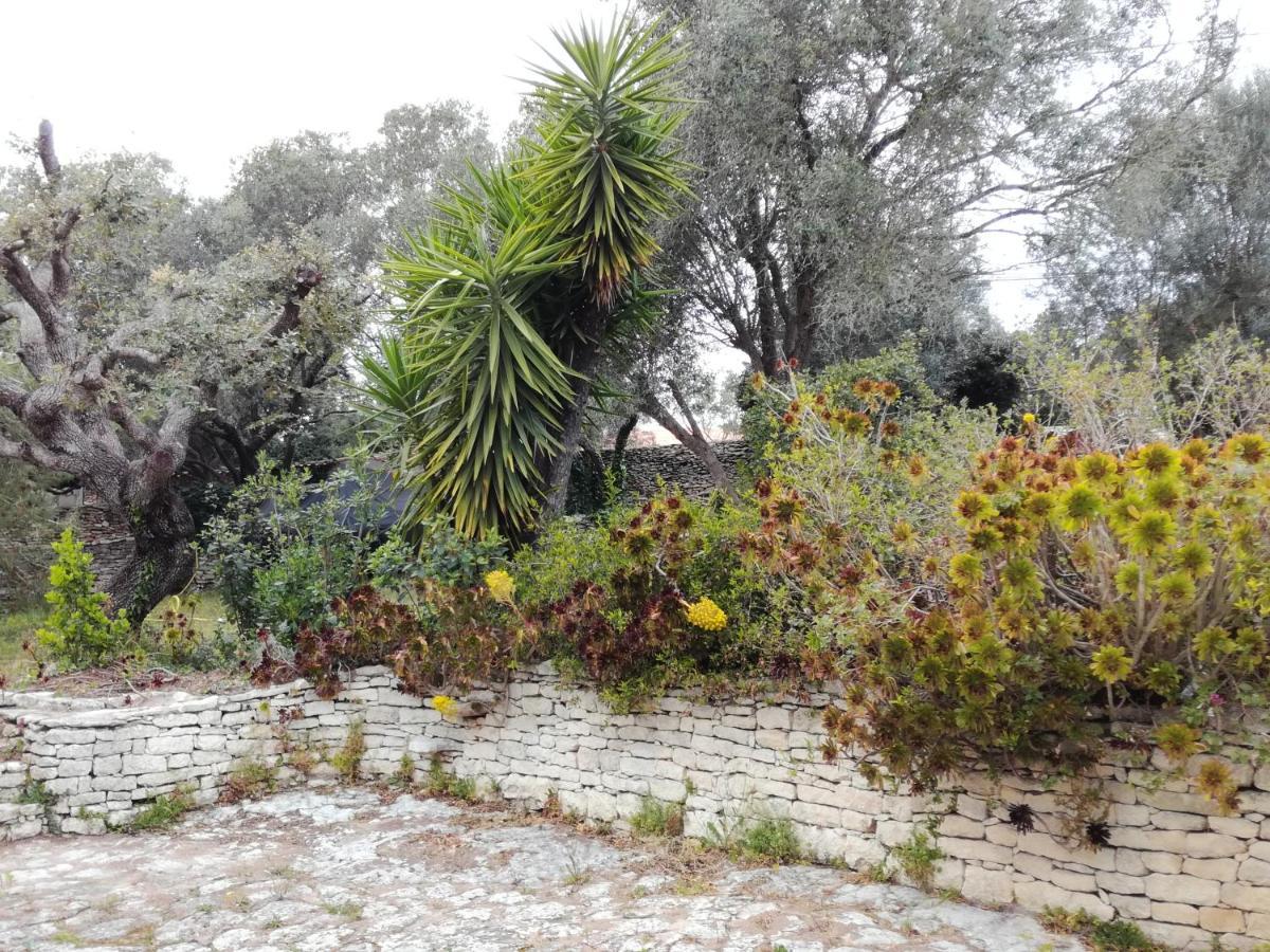 Bonifacio, Maison 90M² Sous Les Oliviers, Vue Sardaigne 博尼法乔 外观 照片