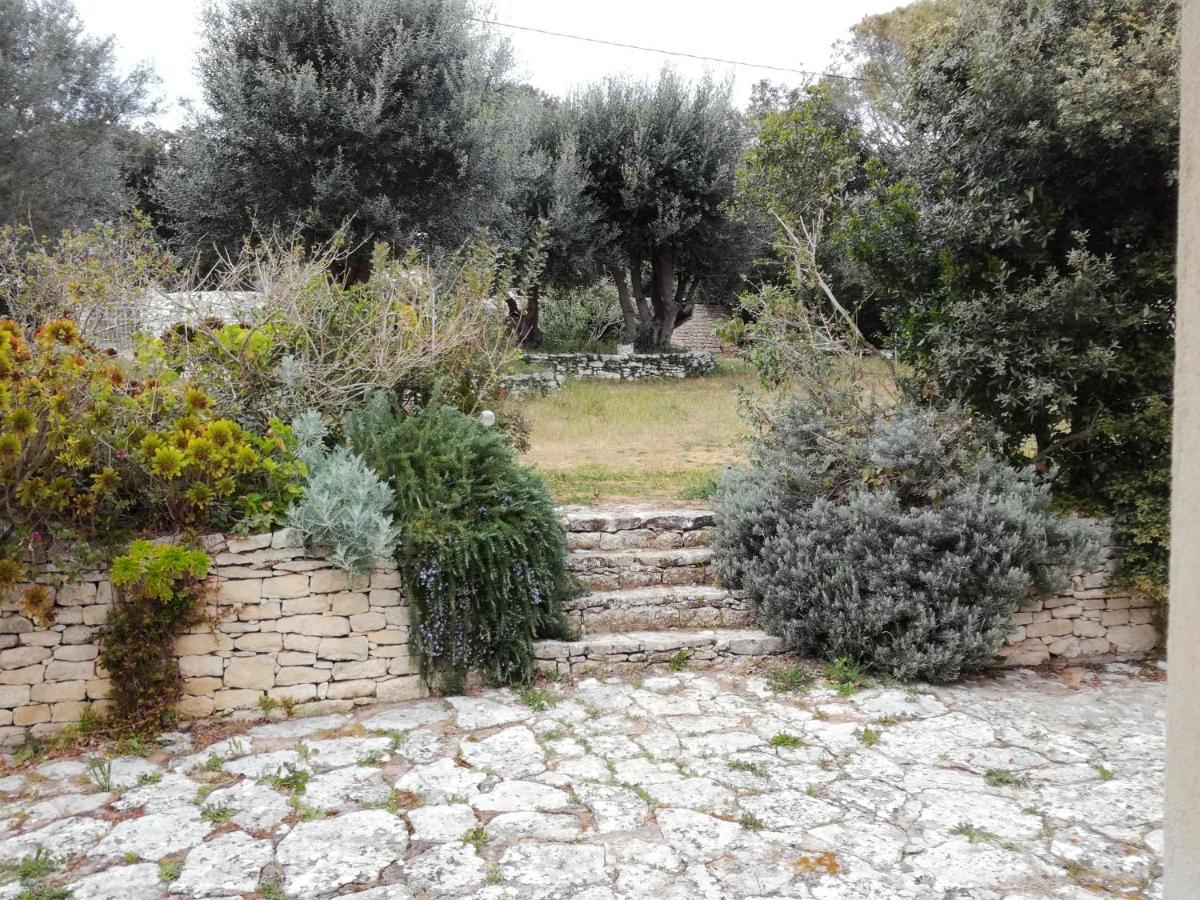 Bonifacio, Maison 90M² Sous Les Oliviers, Vue Sardaigne 博尼法乔 外观 照片